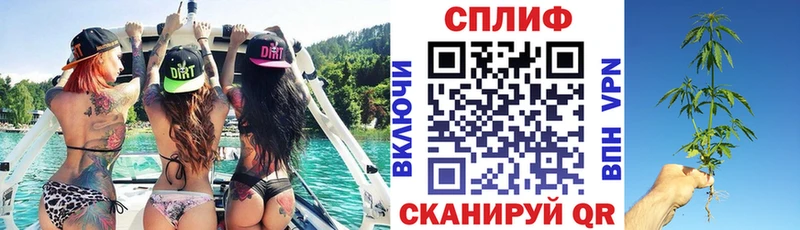 где продают наркотики  Суоярви  Марихуана тримм 